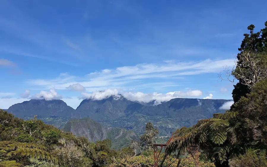 La forêt de Bélouve, La Plaine-des-Palmistes